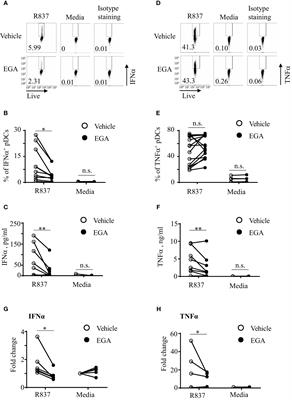 Endosomal trafficking inhibitor EGA can control TLR7-mediated IFNα expression by human plasmacytoid dendritic cells